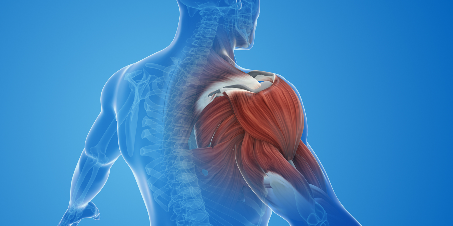 Inflammation Reduction Unlocked: Omega-3’s Impact on Joint Stiffness