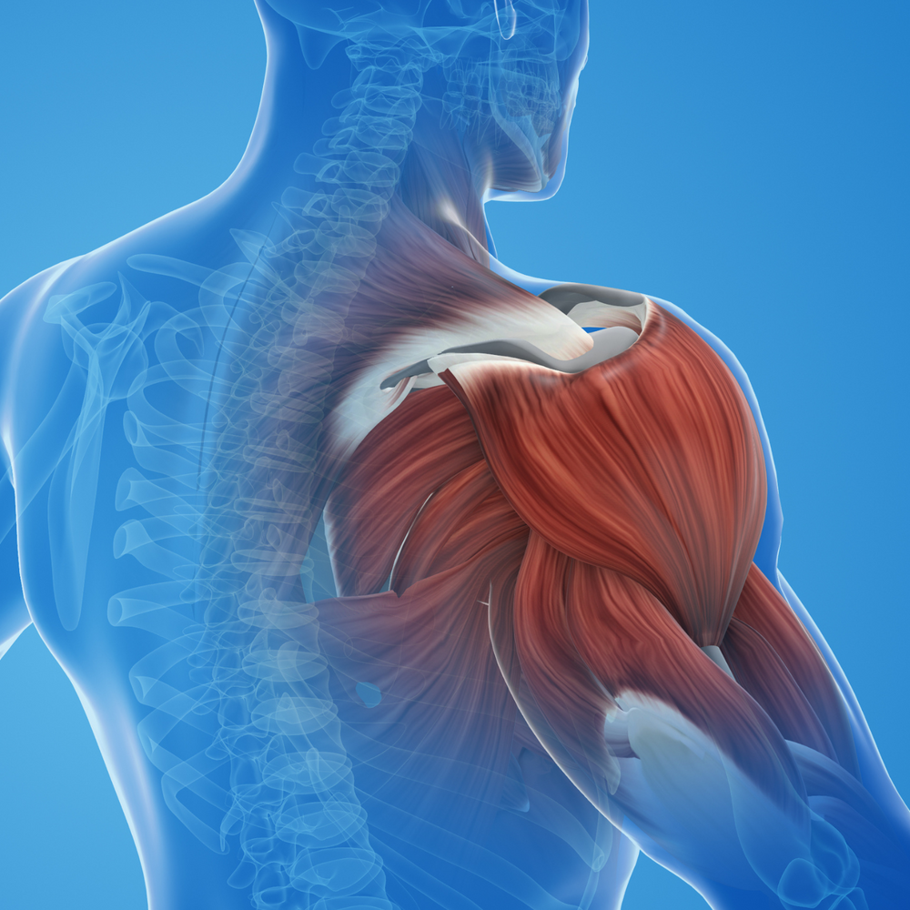 Inflammation Reduction Unlocked: Omega-3’s Impact on Joint Stiffness
