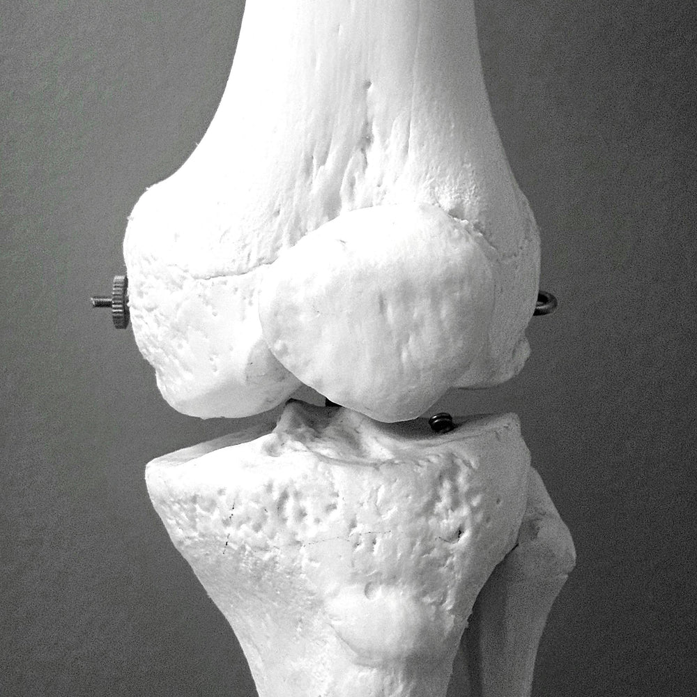 Protecting Cartilage: How Omega-3 Supports Joint Structure