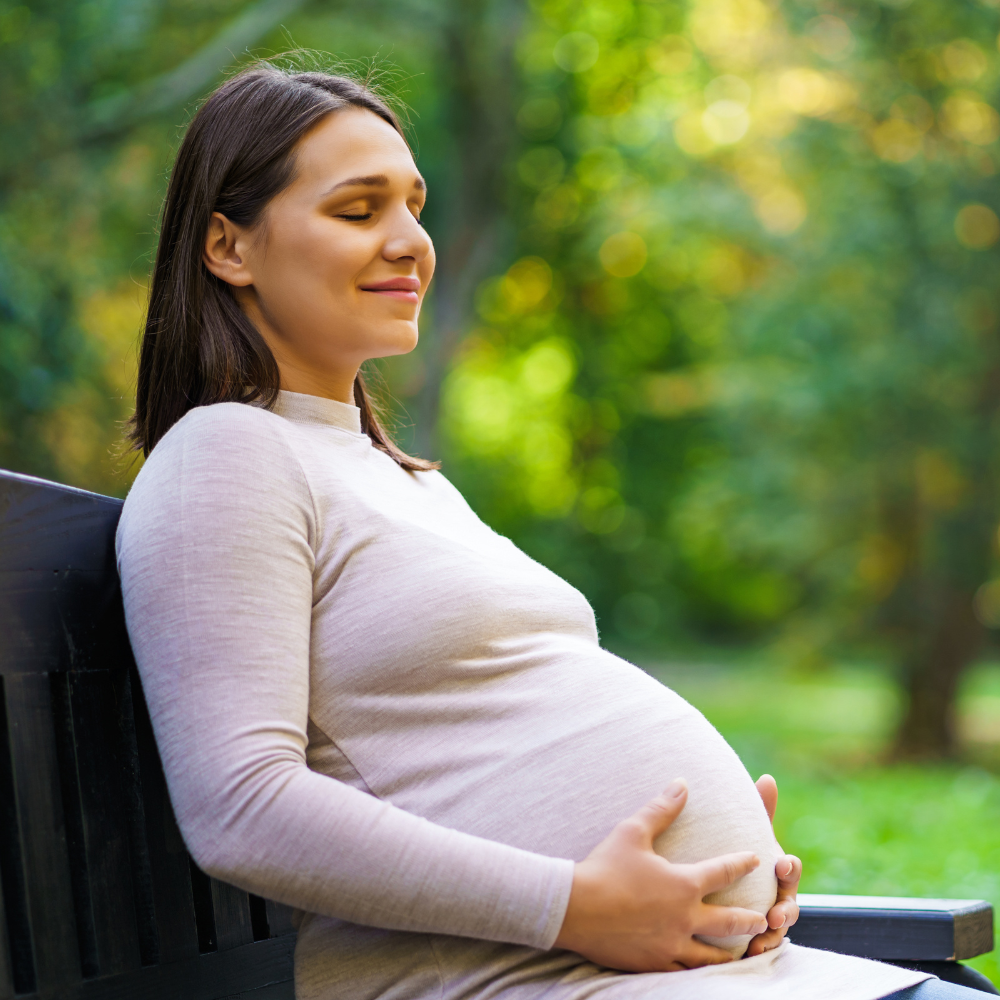 ✅ Pregnancy & Development